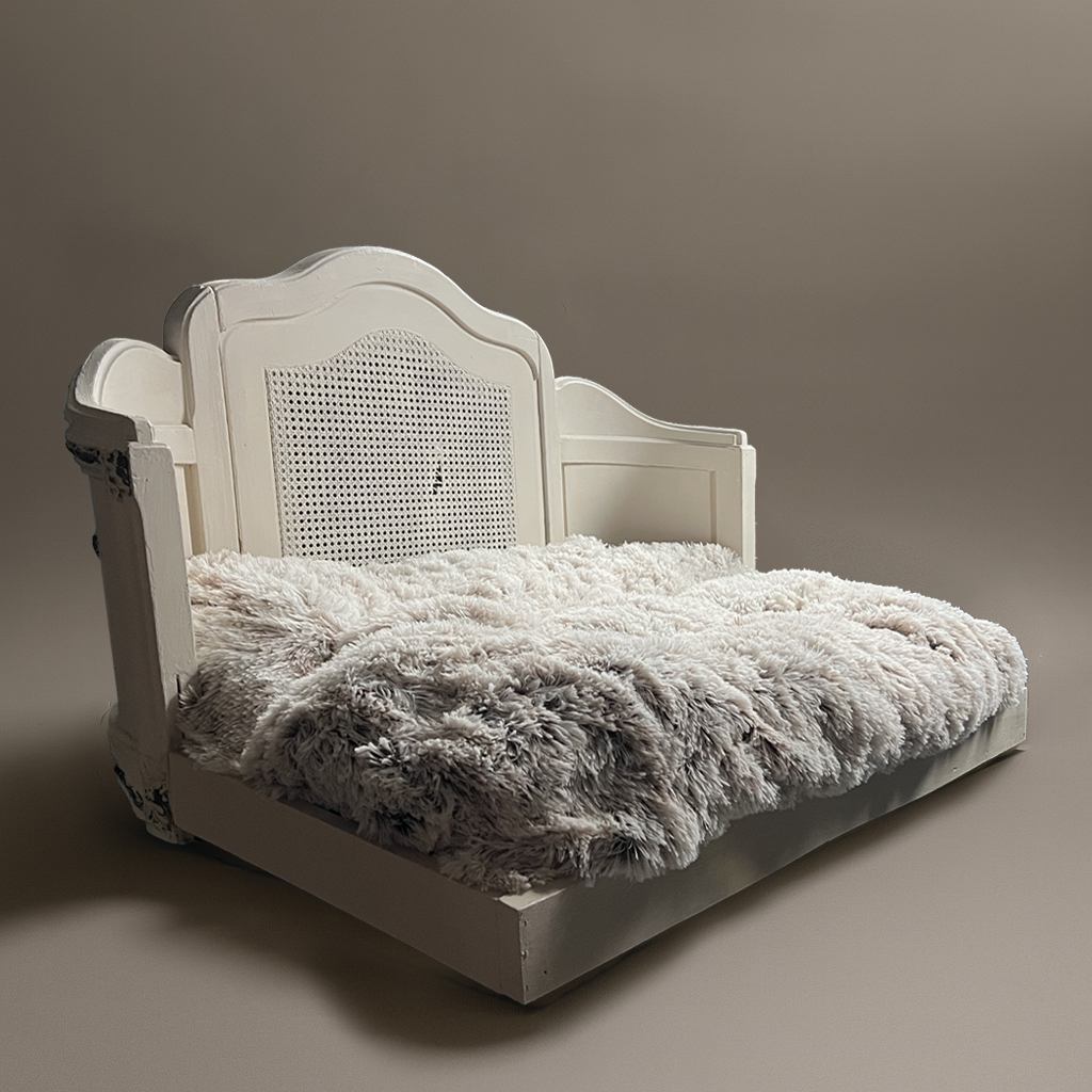 Le Grand Palais Pet Bed
